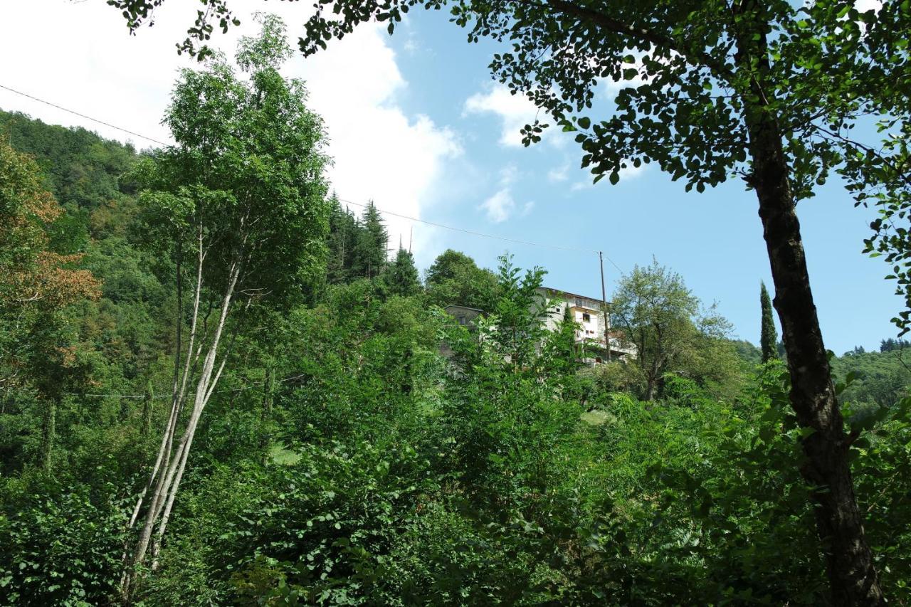 B&B Donnini Firenzuola Kültér fotó